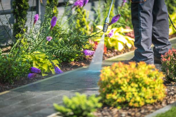 Best Pre-Holiday Cleaning  in Poquoson, VA